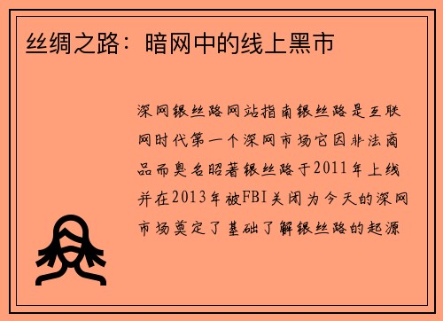 丝绸之路:暗网中的线上黑市