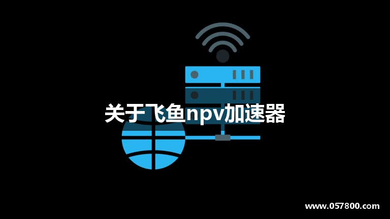 关于飞鱼npv加速器