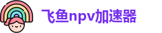 飞鱼npv加速器